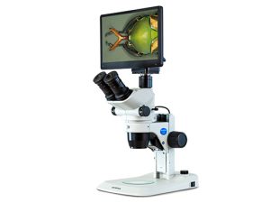 Biological Trinocular Stereo Zoom Microscope, Completed with Microscope Digital Camera (Olympus SZ61TRC + LC30 Digital Camera)